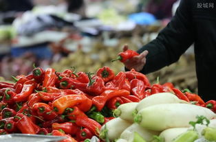 農業農村部辦公廳 確保貧困地區農產品運輸暢通