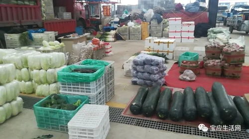 寶應(yīng)鄉(xiāng)土人才齊力擔(dān)當(dāng)戰(zhàn) 疫 情