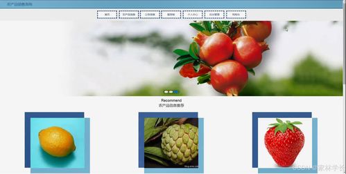 java計算機(jī)畢業(yè)設(shè)計農(nóng)產(chǎn)品銷售系統(tǒng) 開題報告 源碼 論文