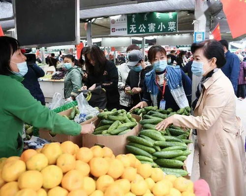 王莉霞在調(diào)研我市節(jié)日市場時強調(diào) 要牢固樹立以人民為中心的發(fā)展思想 全力保障群眾買得放心吃得安心