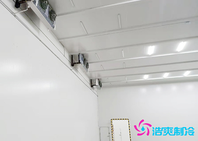 安徽三只松鼠30000m食品冷庫(kù)建造