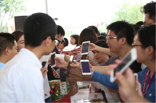 首屆 京東沾化冬棗電商節 啟幕 京東云助推農產品搭上 互聯網快車