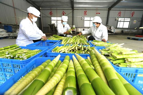 竹山農(nóng)產(chǎn)品借力商會(huì)走進(jìn)北京 家禽產(chǎn)業(yè)的成功突圍