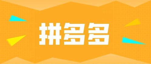 四川匯恒川實(shí)力解析與拼多多無貨源選品實(shí)戰(zhàn) 初級(jí)農(nóng)產(chǎn)品網(wǎng)上銷售指南